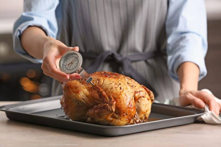 Man holding meat thermometer and sticking it into the roasted chicken, Can You Leave A Meat Thermometer In The Meat While It's Cooking?