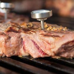 Roasting piece of meat and sticking a meat thermometer in it, What Happens If A Meat Thermometer Touches Bone?