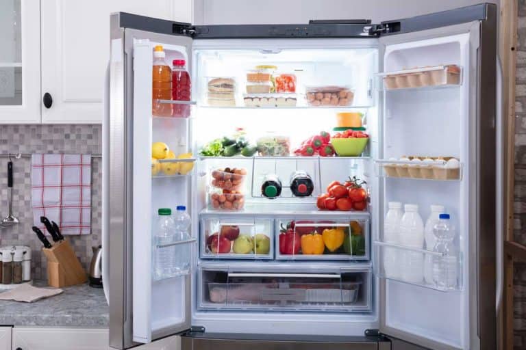 Close-up of an open refrigerator with fruits, vegetables and plastic bottles, Is It Bad to Plug and Unplug Your Fridge?