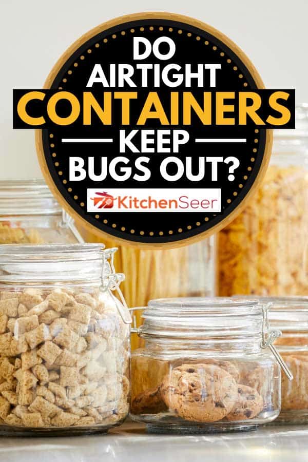 Close-up of food items in airtight jars, Do Airtight Containers Keep Bugs Out?