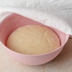 A pink plastic bowl with a fresh yeast dough slowly rising inside, Can Dough Rise In A Plastic Bowl? [And what to do if it doesn't]