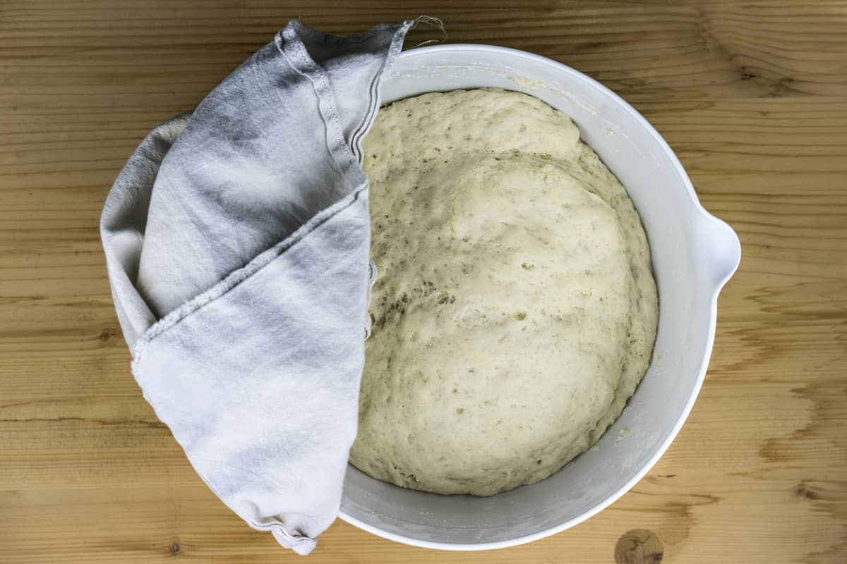 A pizza yeast dough rising on a plastic bowl
