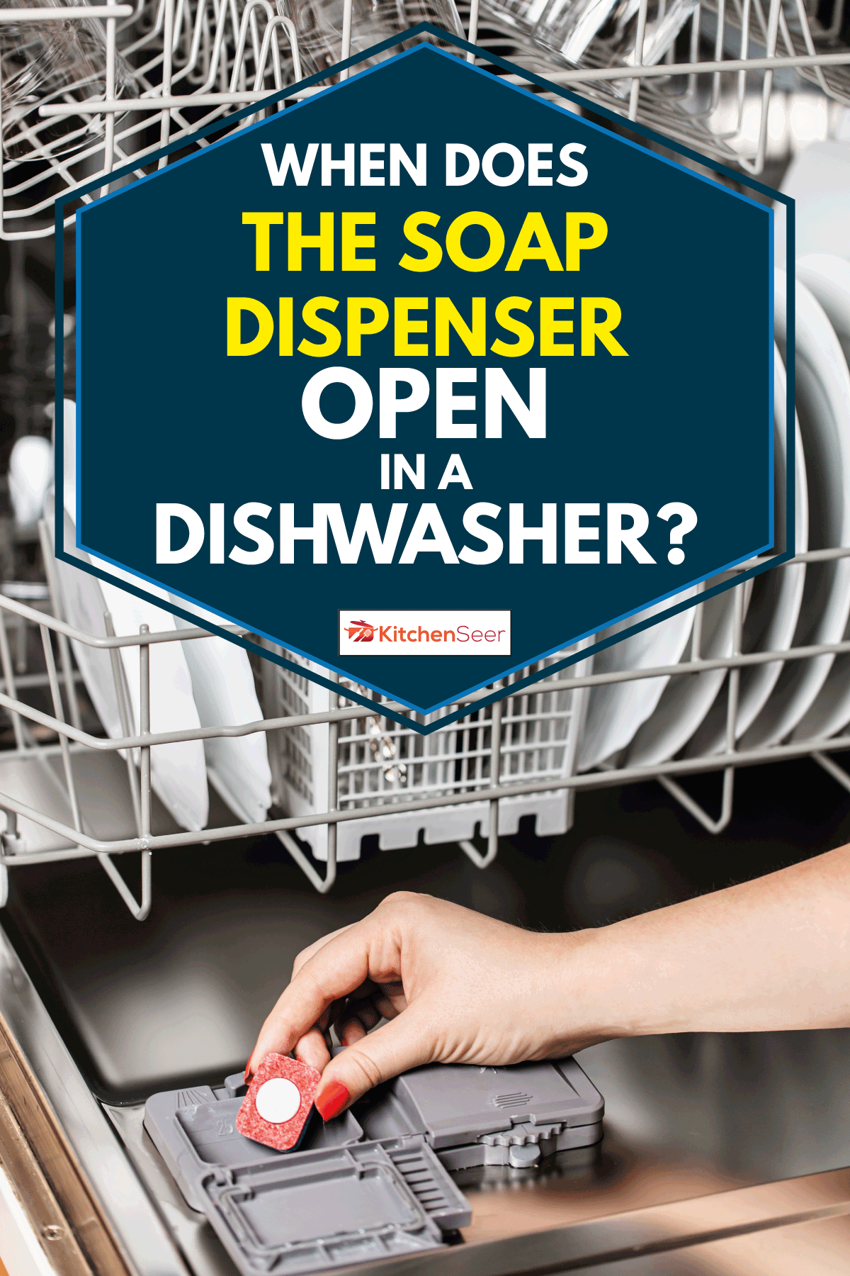 Close up shot of woman's hand holding dishwasher soap tablet, When Does The Soap Dispenser Open In A Dishwasher?