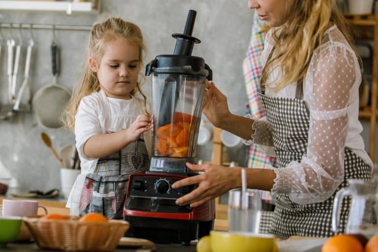 Copy space shot of young woman closing a blender after her toddler daughter assisted her in adding in freshly cut persimmons for a dessert they are preparing together, Is Vitamix Dishwasher Safe?