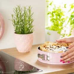 A woman opening a springform pan with delicious cake on it, Springform Pan Won't Open? Here's What To Do