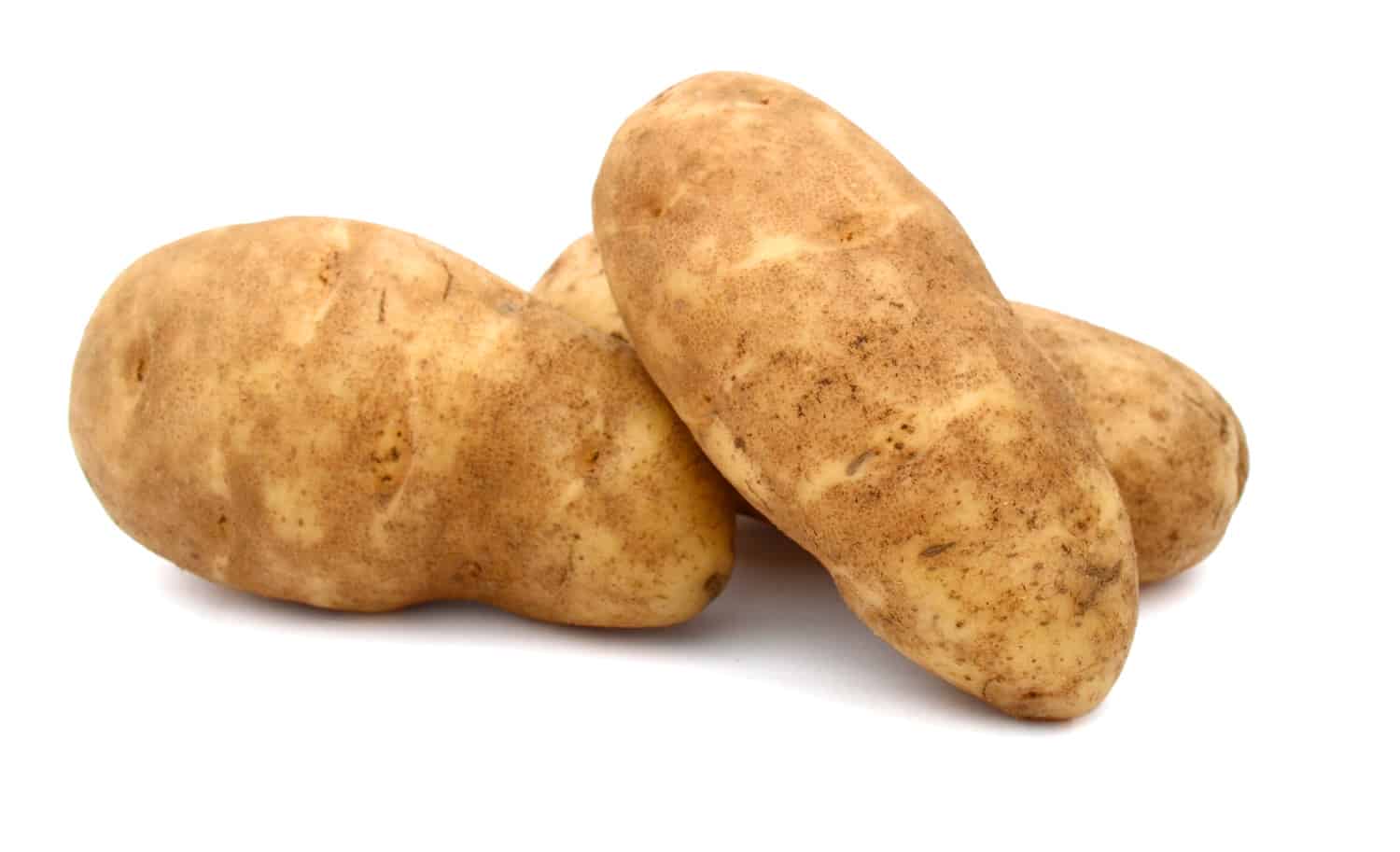 A russet potato (Idaho potato)
