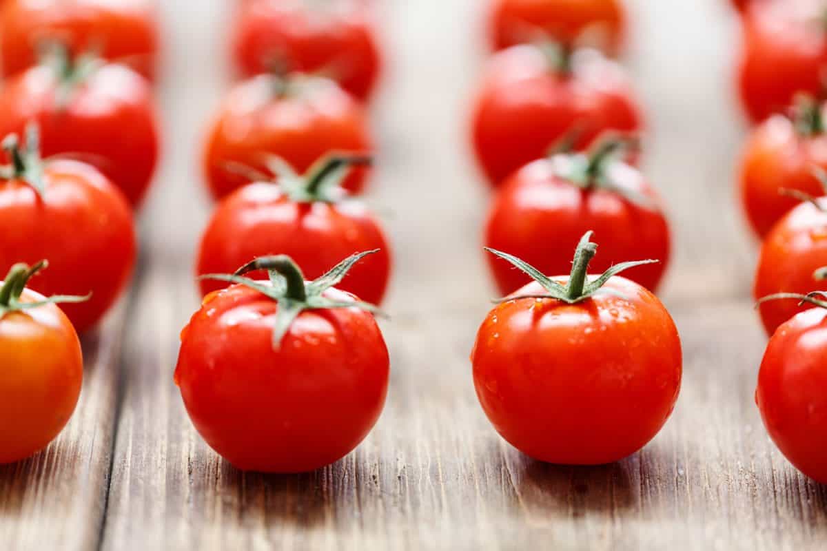 An up close photo of properly lined up tomatoes