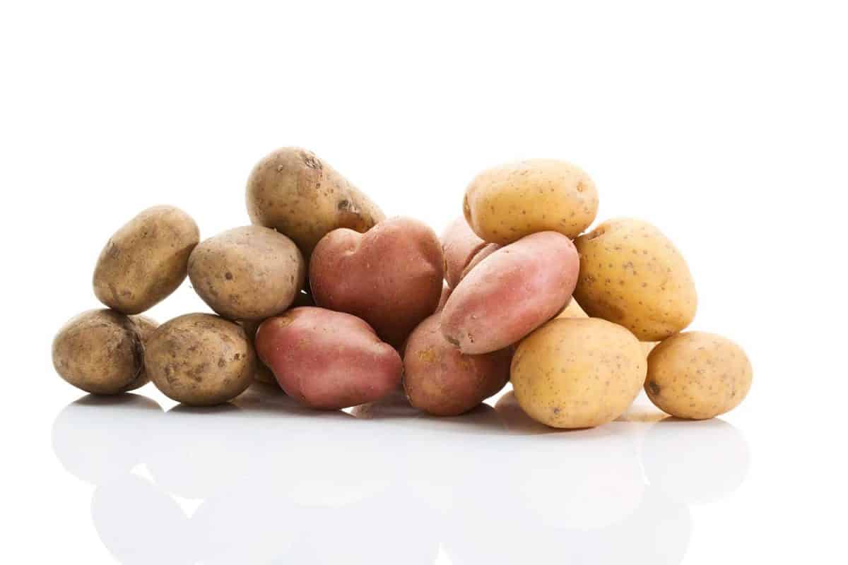 Different types of potatoes on white background