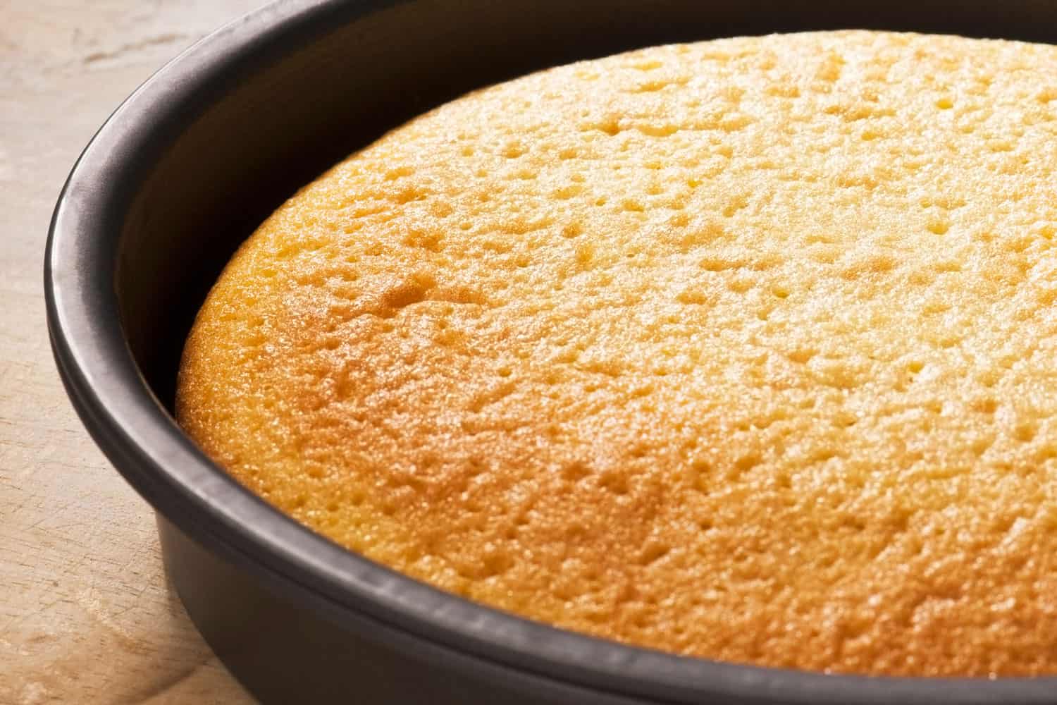 Freshly baked sponge cake in a round baking tin