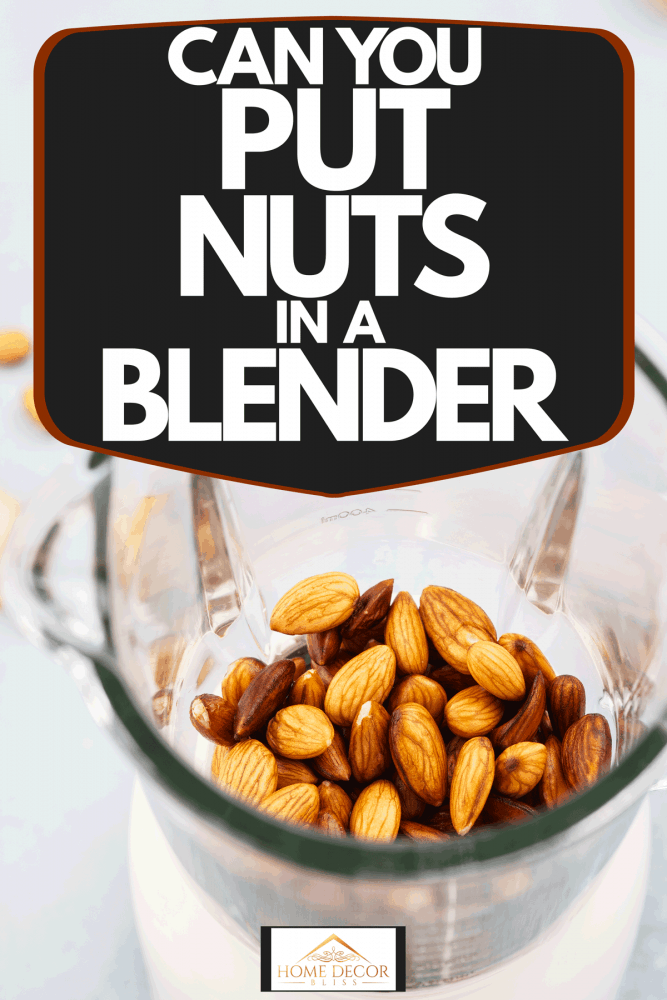 Hazelnuts soaked in water on a blender, Can You Put Nuts In A Blender