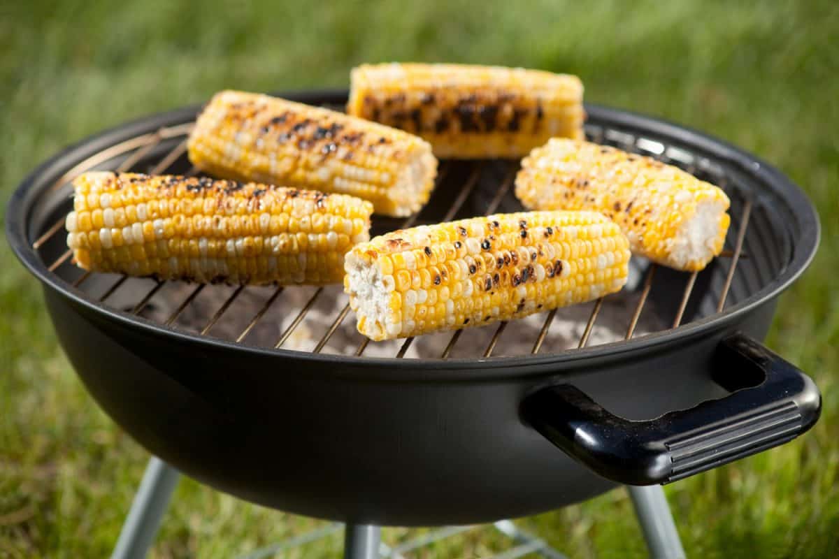 Corn on a barbecue grill