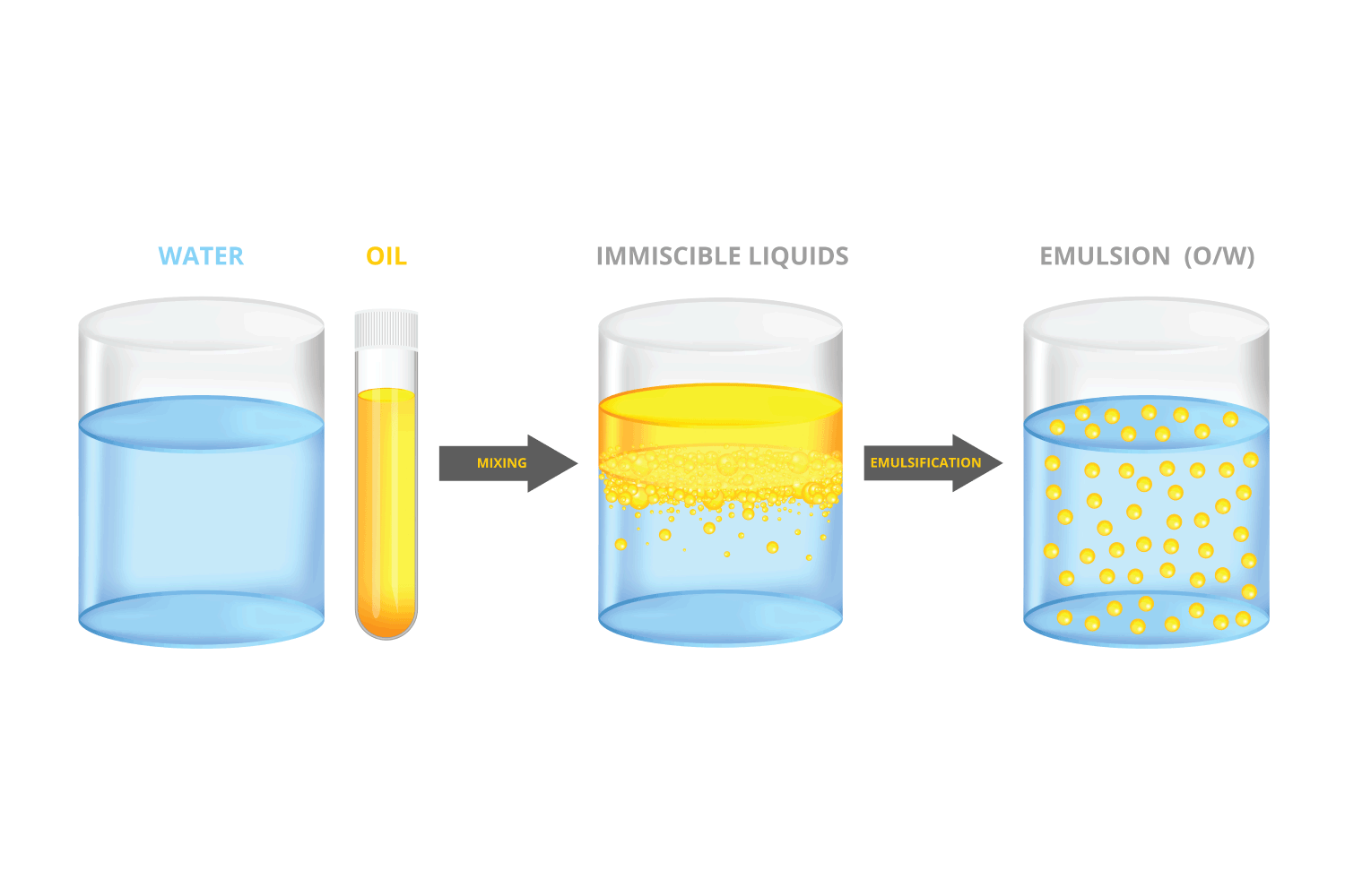 scientific illustration. Immiscible liquids water and oil mixed together, a stable dispersion. Oil in a test tube, and water in a beaker.