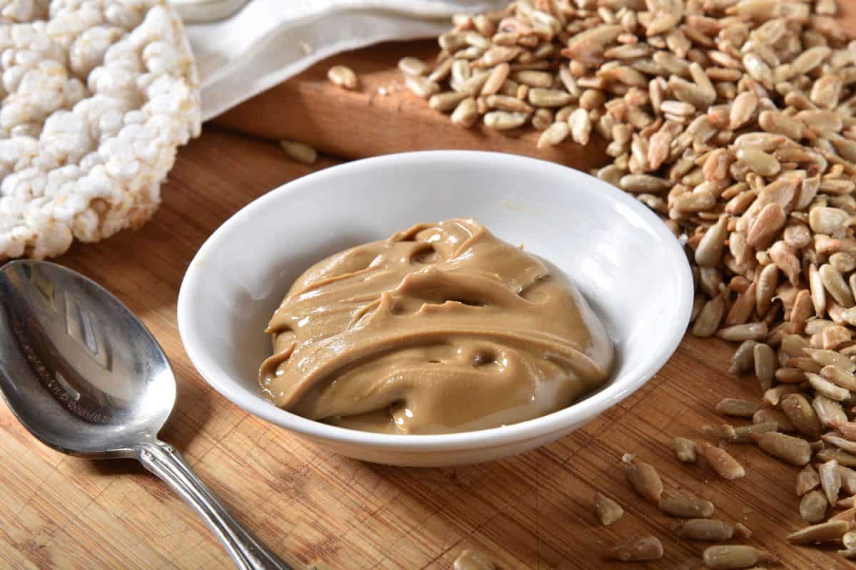 A small dish of fresh sunflower seed butter with rice cakes, Should Sunflower Butter Be Refrigerated?