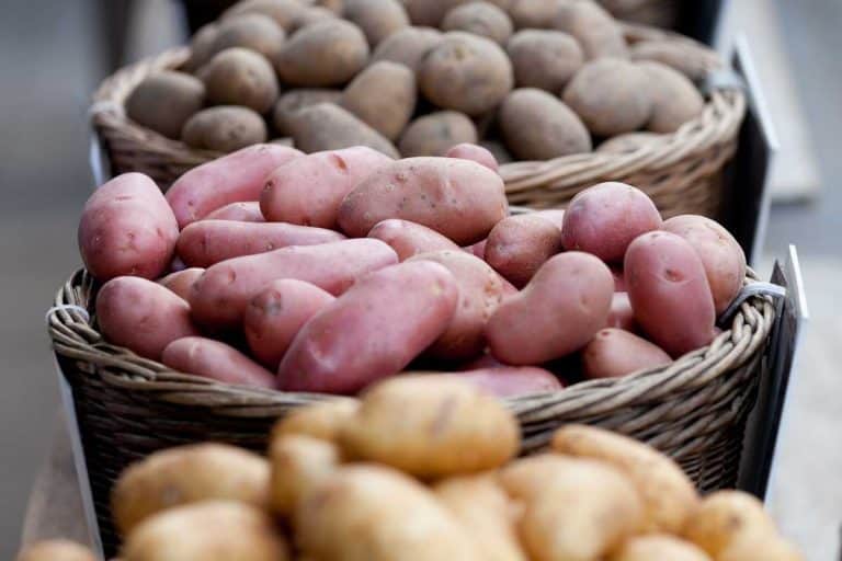 Different potatoes at market, What Is The Best Potato For Pot Roast?