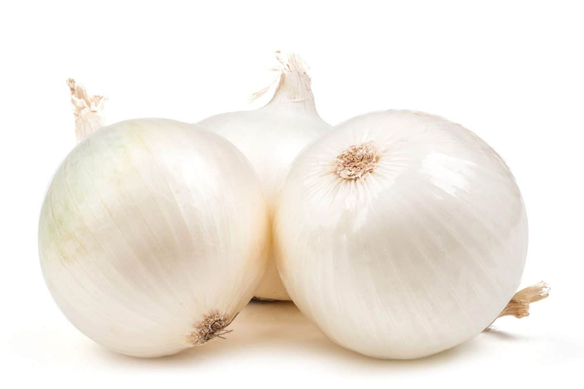 Freshly peeled white onions