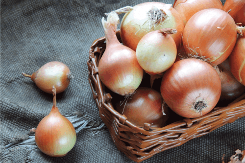 Read more about the article Should You Wash An Onion?