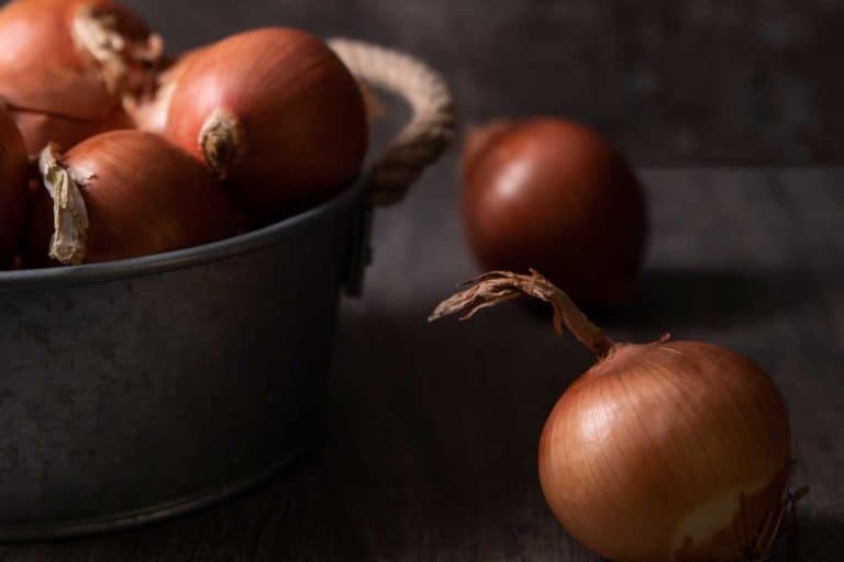 Onions in a bucket on dark wooden surface, How Big Is A Medium Onion?