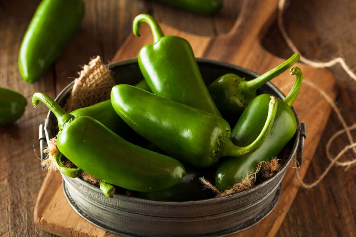Organic Green Jalapeno Peppers in a Bowl