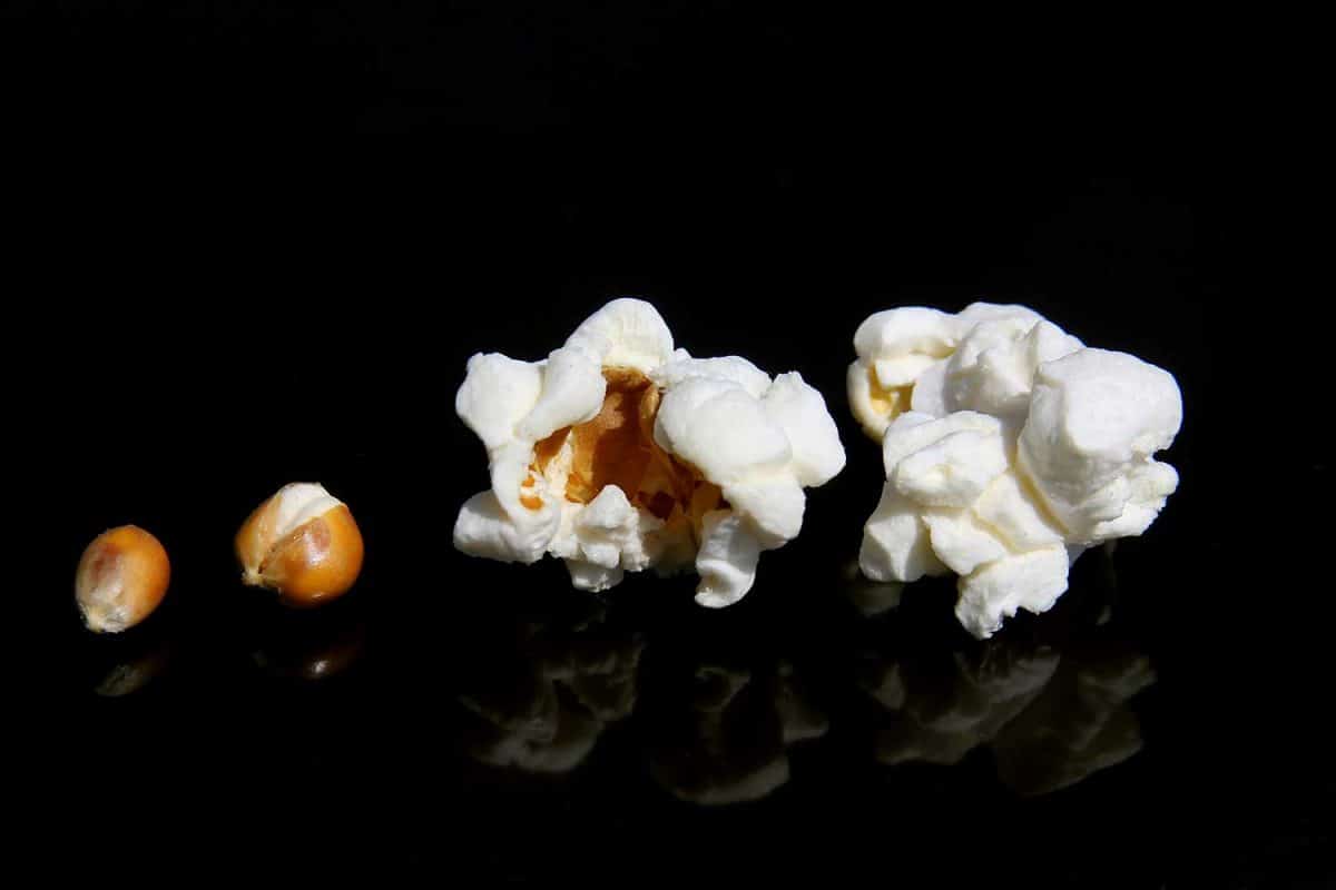 Seed expanded, partially popped, inverted and corn snack