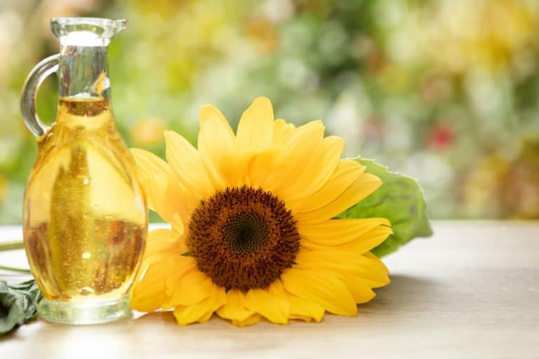 Sunflower oil improves skin health and promote cell regeneration, Can You Use Sunflower Oil For Baking?