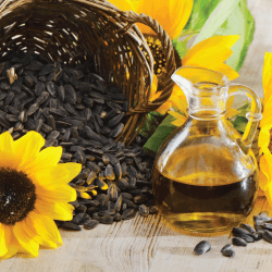 Sunflower oil in a bottle and sunflower seed on the wooden table. Can You Use Sunflower Oil Instead Of Vegetable Oil