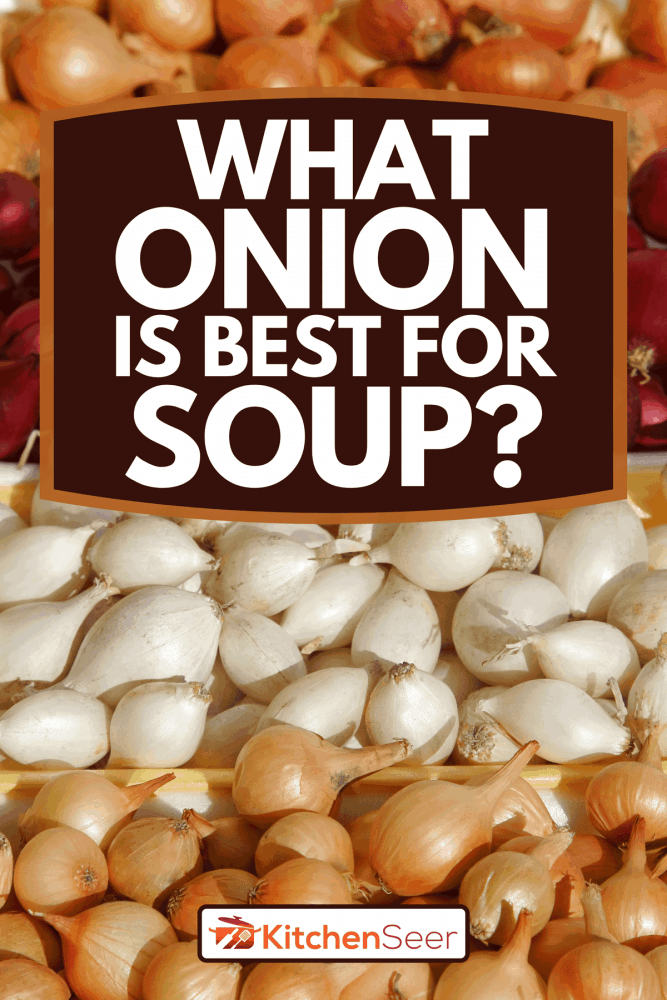 Many multicolored groups of onions divided up by color at the farmers market, What Onion is Best For Soup?