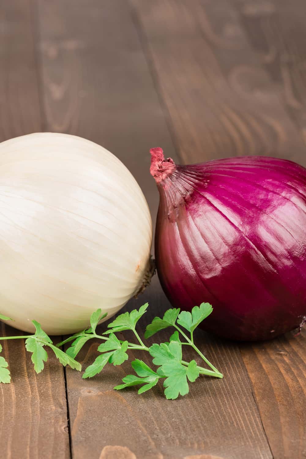 White and red onion