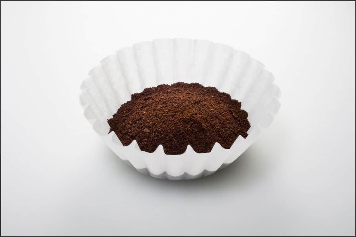 Ground coffee in filter