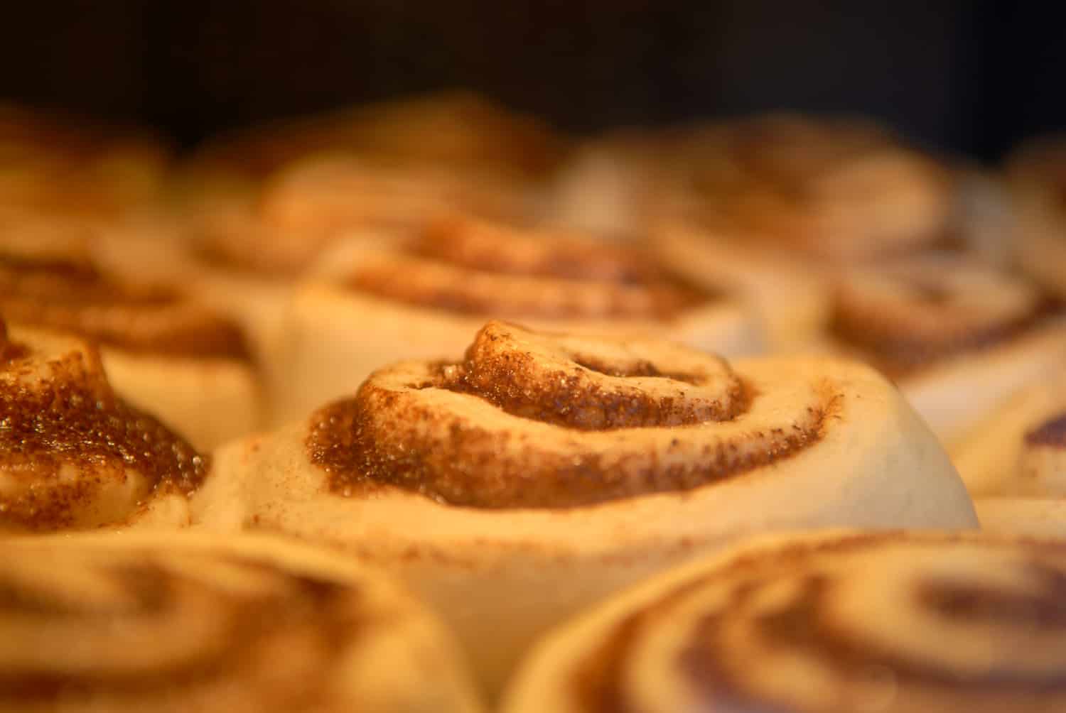 Homemade cinnamon buns baking inside an oven. Some heat radiance from the hot oven can be seen in the image.