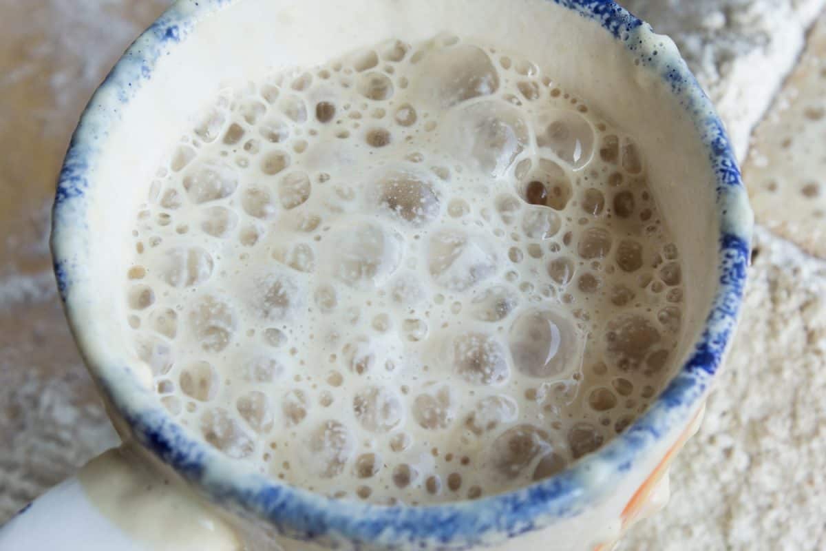 Yeast Fermented in a Ceramic Cup.