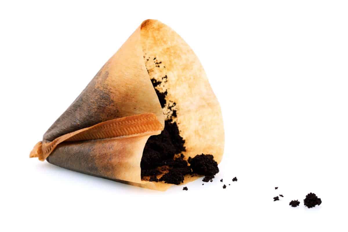 A used coffee filter on a white background