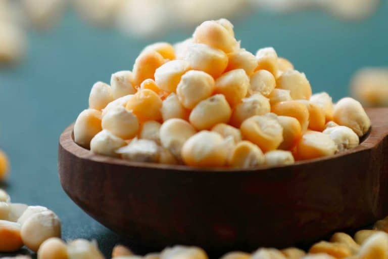 Popcorn kernels in a bowl, Does Soaking Popcorn Kernels Make It Pop Better?