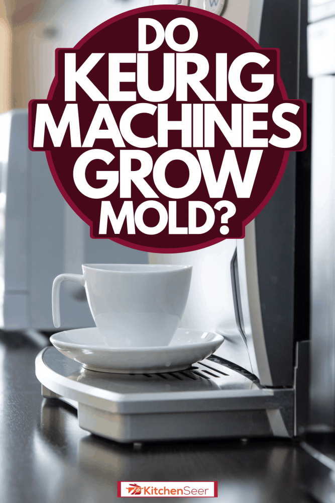 An expensive looking coffee maker pouring coffee on a small cup, Do Keurig Machines Grow Mold?