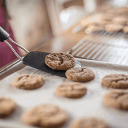 woman-using-a-spatula-to-fetch-cookies-from-a-baking-tray.-How-Long-To-Bake-Chocolate-Chip-Cookies