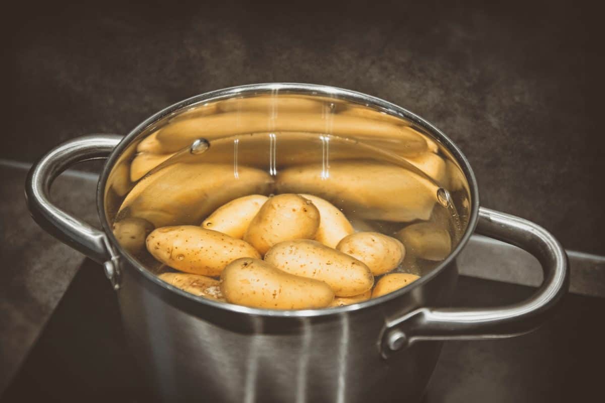 A big stainless steel pot with potatoes inside the kitchen
