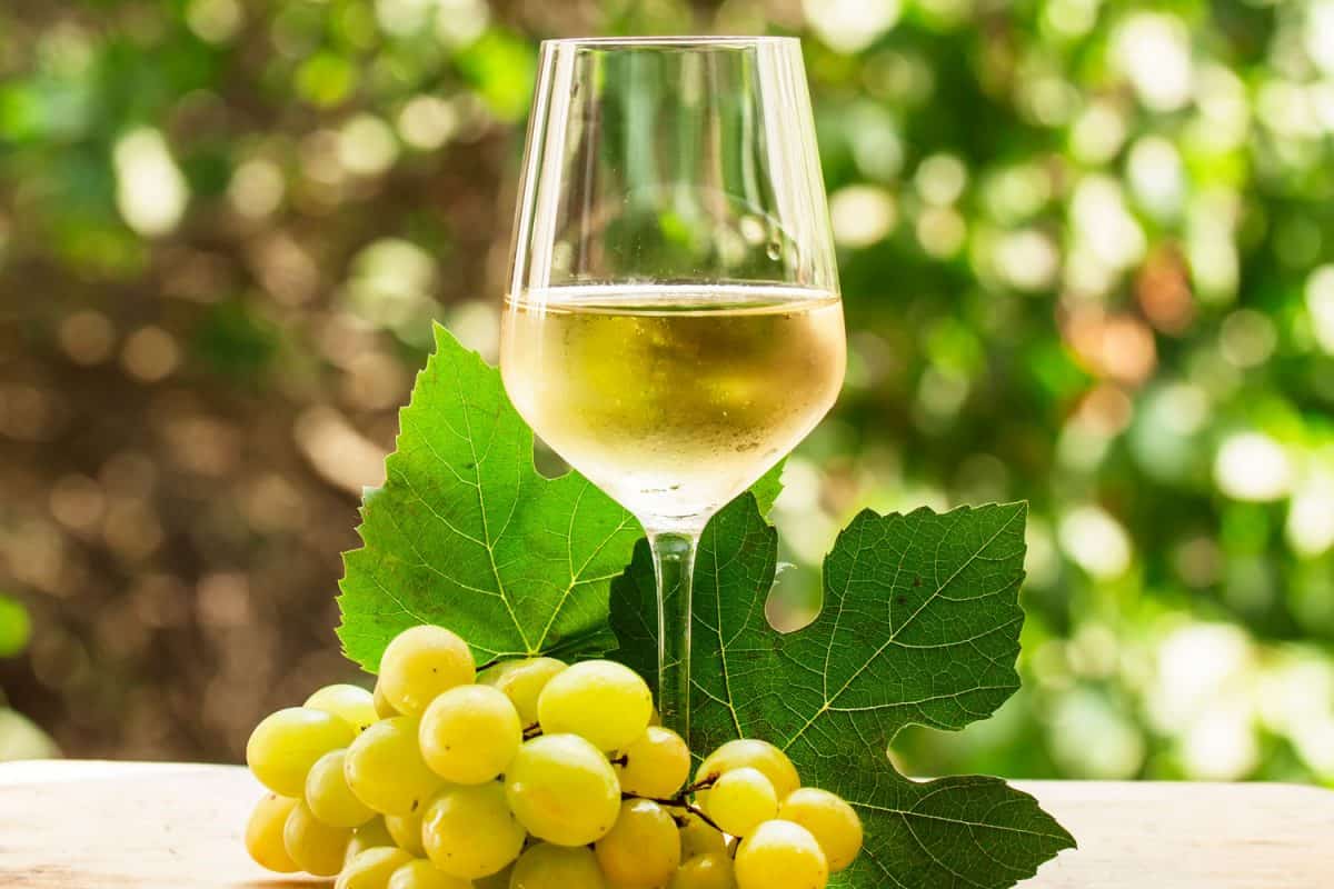 A wine glass with sparkling champagne and yellow grapes