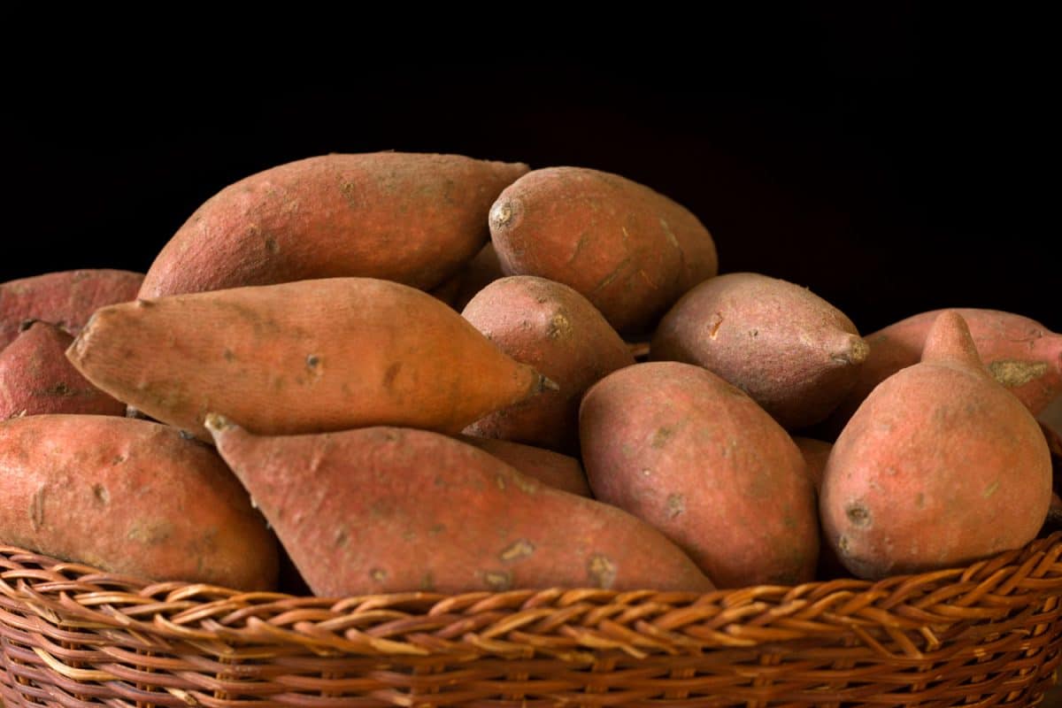 An up close photo of sweet potatoes on a basket