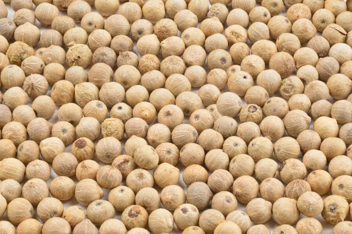 Close-up of many white peppercorns