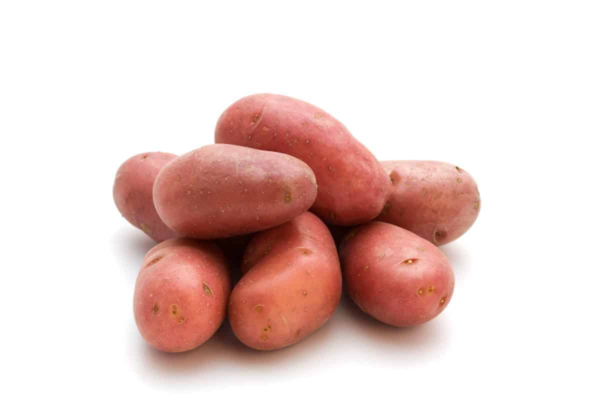 French red potatoes 