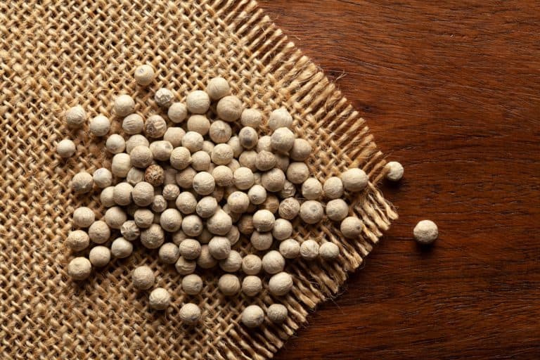 Macro close-up of Organic White peppercorns (Piper nigrum) on the wooden top background and jute mat, When To Use White Pepper?
