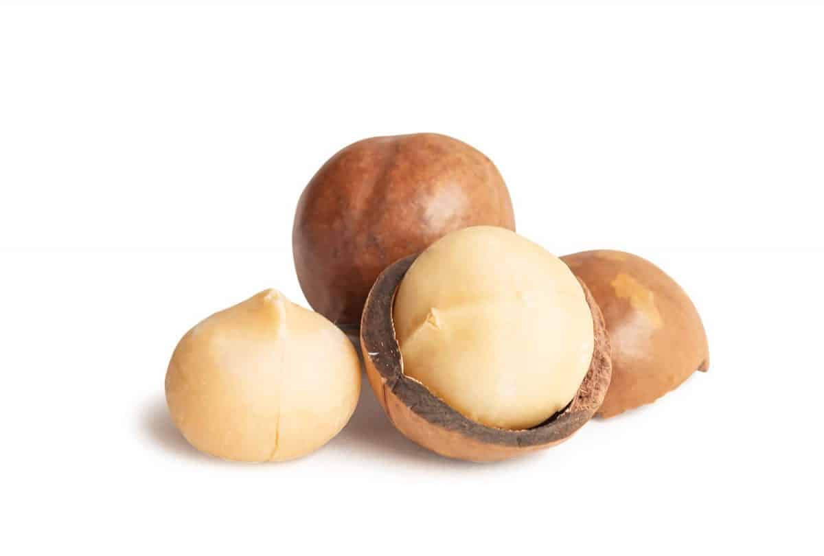 Photo of macadamia nuts