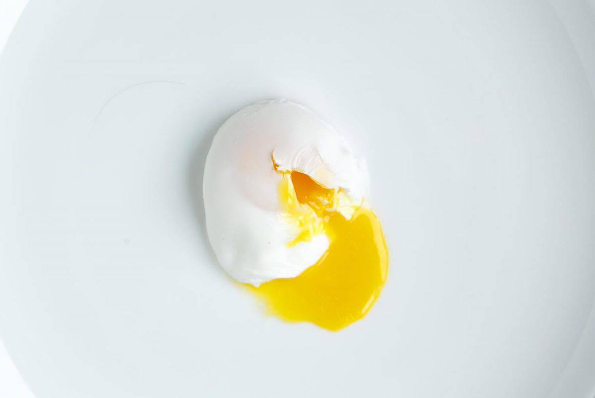 Close up shot of poached egg on white background