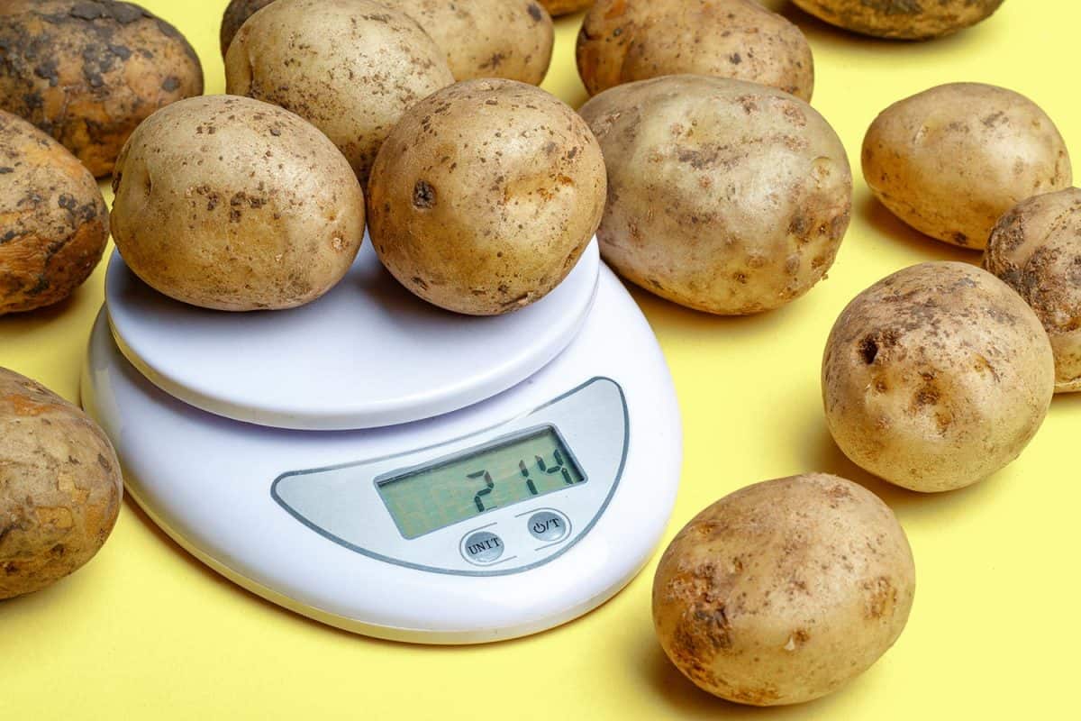 Potatoes on small household scales