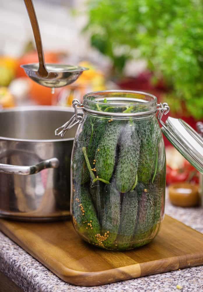 Preserving fresh organic cucumbers in jars at home