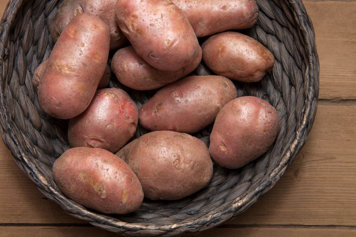 Sweet potatoes on a dark basket on the table, How Long Do Sweet Potatoes Last?