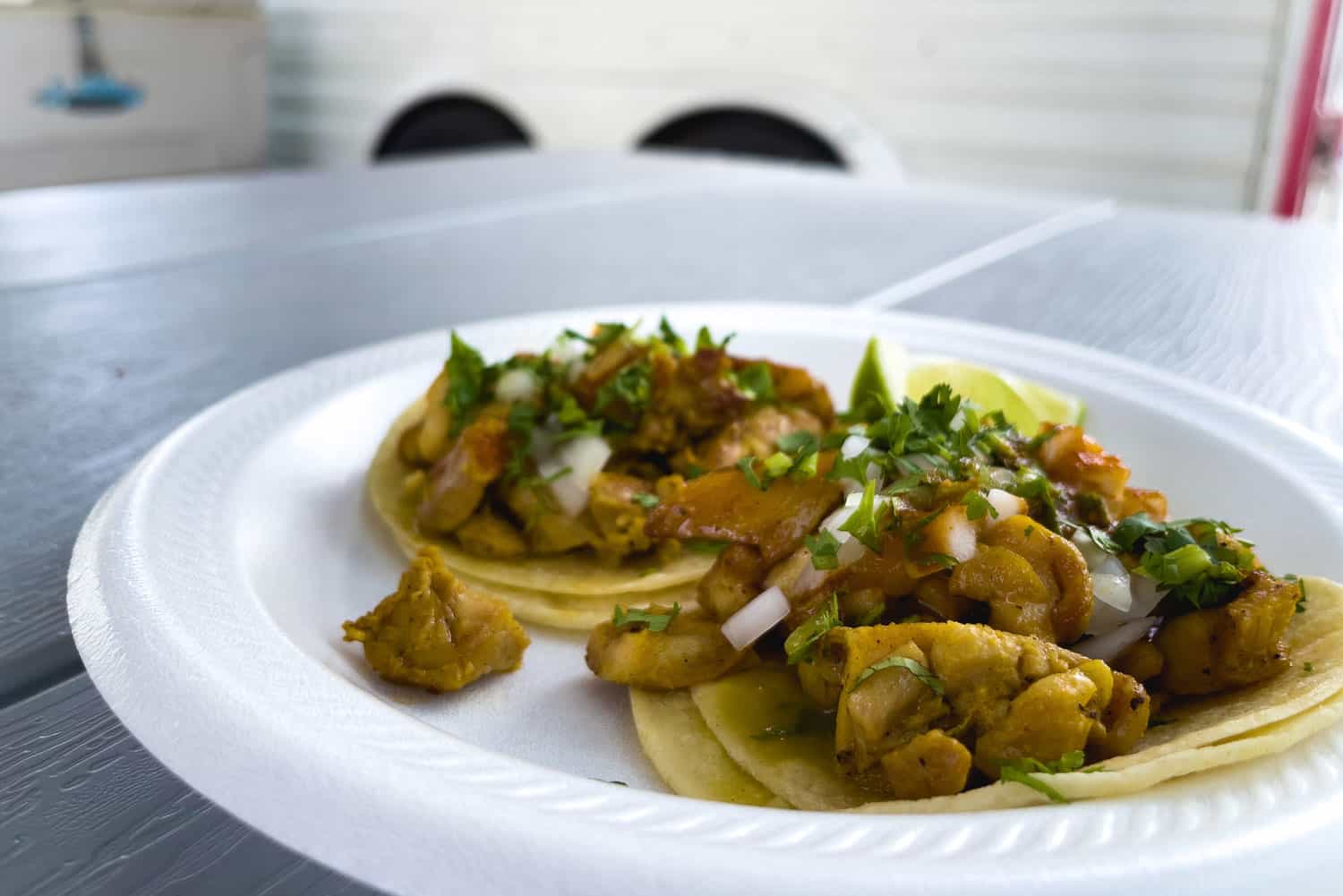 Tacos on Disposable paper Plate as Part of Taco Stand Photo
