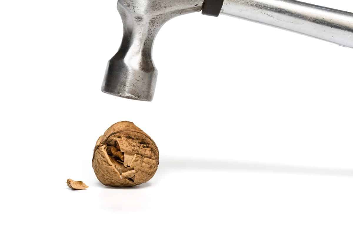 The hammer cracks a walnut