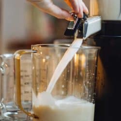 Woman making home made milk in a food processor, Can You Froth Milk In A Food Processor?