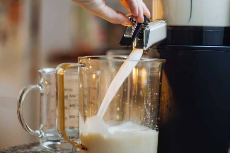 Woman making home made milk in a food processor, Can You Froth Milk In A Food Processor?