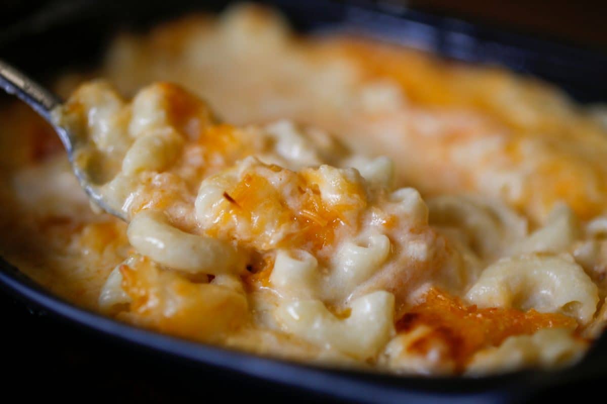 macaroni and cheese. shallow depth of field